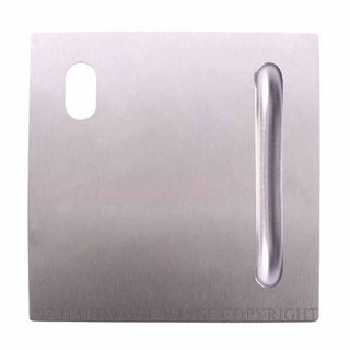 LOCKWOOD 20025NA P1LSS LH EXTERIOR D HANDLE CYLINDER PLATE SATIN STAINLESS