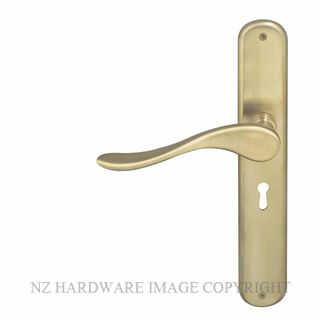 WINDSOR 8168L USB HAVEN OVAL LONGPLATE STD KEYHOLE UNLACQUERED SATIN BRASS