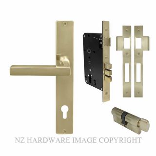 WINDSOR 8288 USB FEDERAL LONGPLATE E85 ENTRANCE SET UNLACQUERED SATIN BRASS