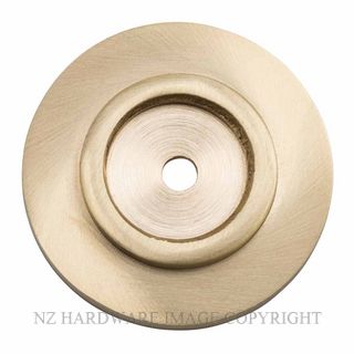 TRADCO 21396 USB BACKPLATE 38MM UNLACQUERED SATIN BRASS