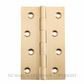 SDG 2822 - 2824 FIXED PIN HINGES SATIN BRASS