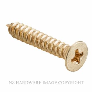 SDG SCHINGESB25 - SCHINGESB32 POZI HEAD SCREWS SATIN BRASS