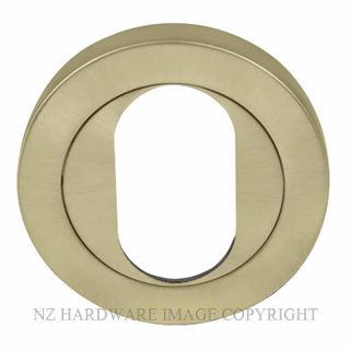 WINDSOR 8189O USB OVAL ESCUTCHEON - 50MM ROSE UNLACQUERED SATIN BRASS