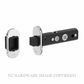 JNF IN.20.166 MAGNETIC LATCH 60MM SATIN STAINLESS