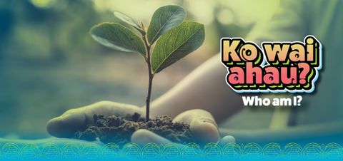 Ko wai ahau postcard