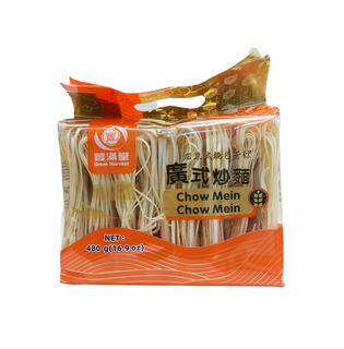 NOODLE CANTON STYLE (CHOW MEIN) FMT 480G