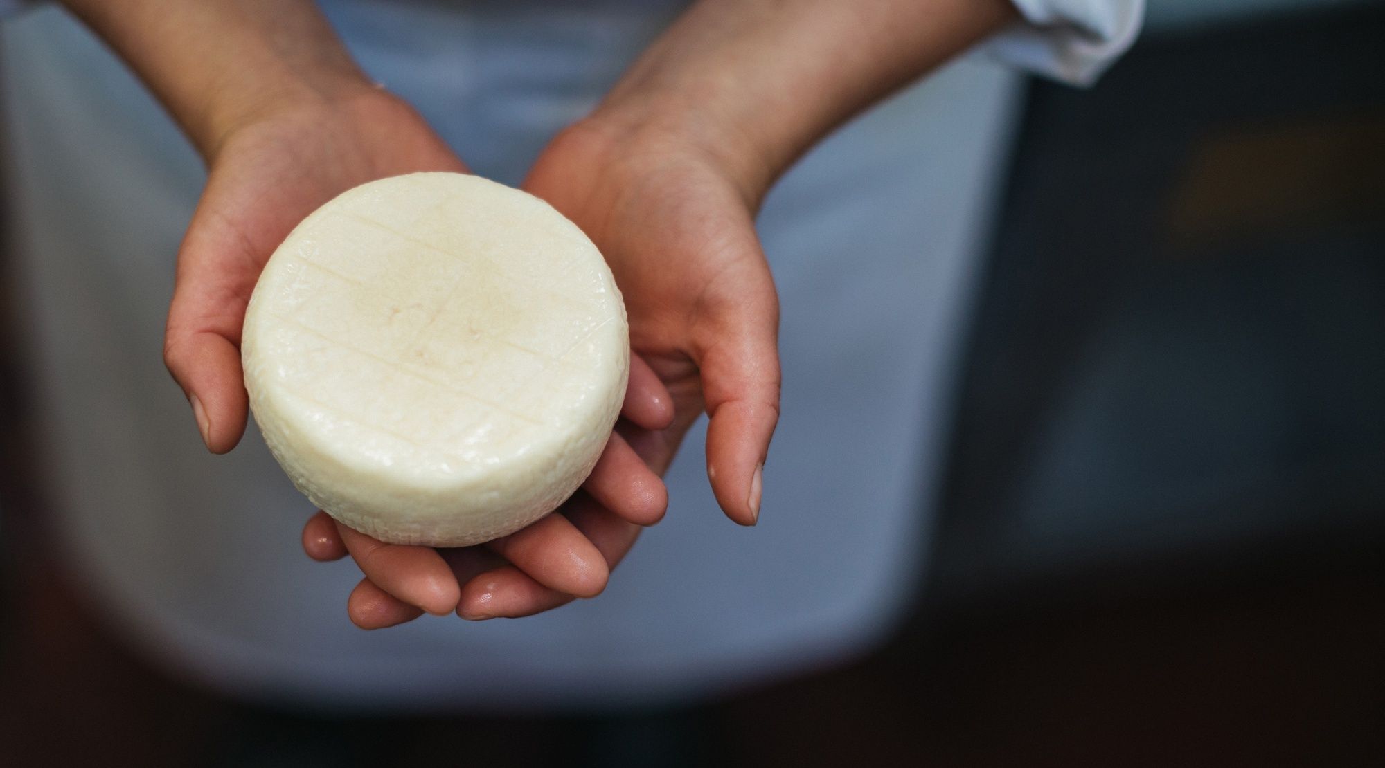 <h2>Cheese<br> & <br> Dairy</h2>