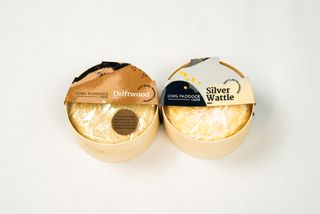 Soft & White Mould