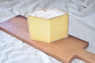 Cheddar
