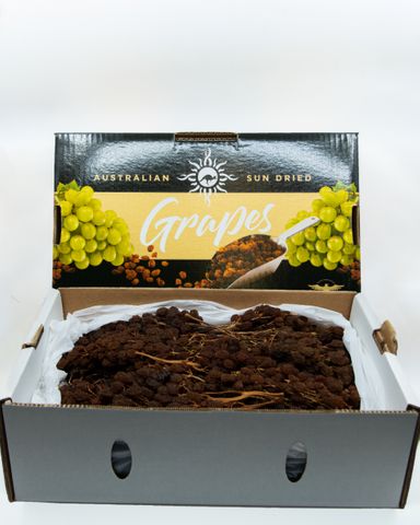 DRIED MUSCATEL SUN MUSCAT