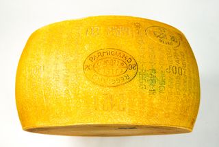 PARMA 2064 REGGIANO 24MTH
