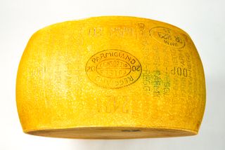 PARMA 2064 REGGIANO 24MTH