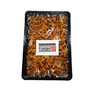 GIROLAMO CHIODINI MUSHROOMS
