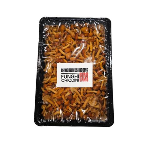GIROLAMO CHIODINI MUSHROOMS
