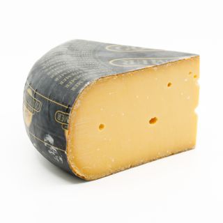 VAN DER HEIDEN HOLLAND DELTA 12M