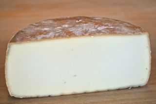 *AGOUR CHEVRE MOYEN*OOS