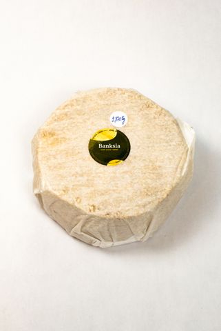 LONG PADDOCK BANKSIA