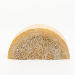 SECTION 28 MONFORTE
