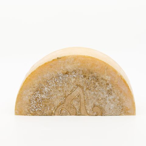 SECTION 28 MONFORTE