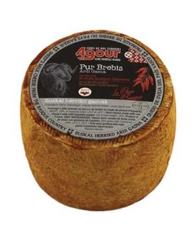 AGOUR PETIT BREBIS ESPELETTE