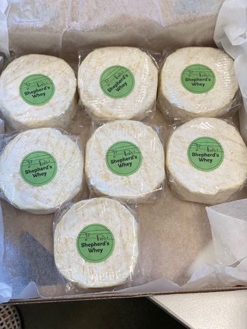 SHEPHERDS WHEY INDULGE GEOTRICHUM
