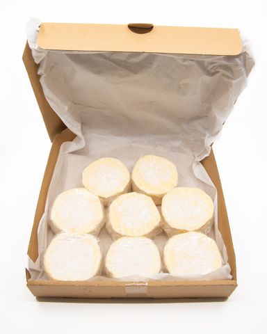 SHEPHERDS WHEY INDULGE GEOTRICHUM TRAY