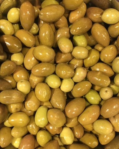 TOOLUNKA CREEK GUSTO MIX 10KG