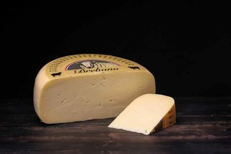 VAN DER HEIDEN BREBANO