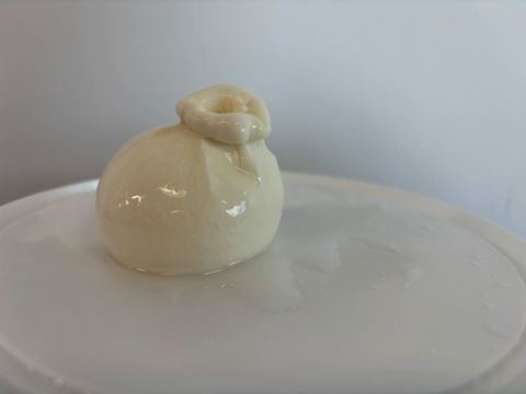 BUTTON BURRATA 100G
