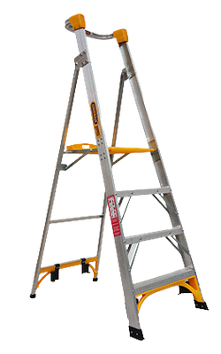 Standard Platform Ladders