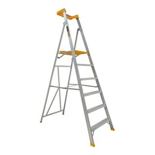 ProLite Alum. Plat. Ladder 1.74m