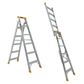 Prolite Aluminium Ladder