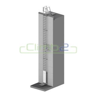 Parapet Ladders 7050mm