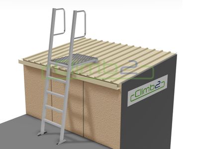 Caged Ladders with 1.0m Access Platform