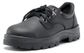 Steel Blue Eucla TPU 200J Steel Toe Cap Executive Shoe