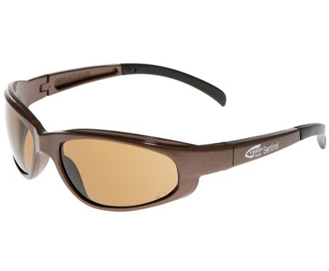 Vision Safe Sentinel Bronze Frame Brown H/C Lens