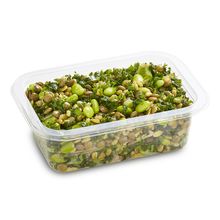 Edamame, Freekeh & Kale x 6