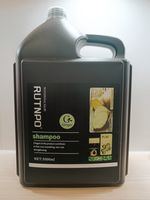 Ginger Shampoo 5 Litre