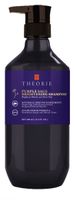 Theorie Purple Sage  Brightening Shampoo 400ml