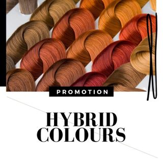 HYBRID COLOUR