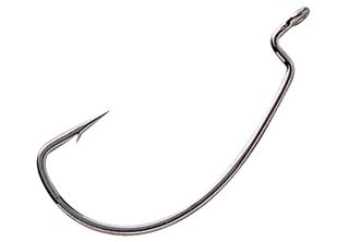 Hooks Worm