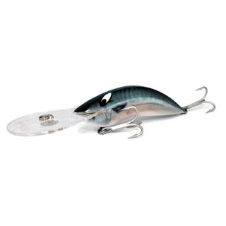 DR EVIL LURES