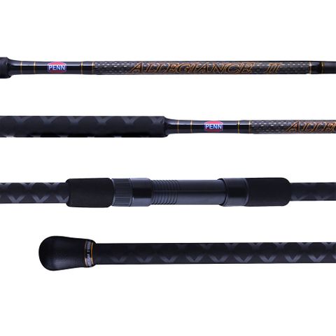 Penn Allegiance II Surf Rod 1463 10-15kg