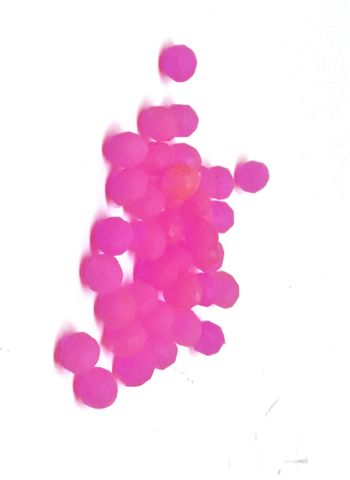 Sea Harvester Lumo Beads Pink Medium Soft