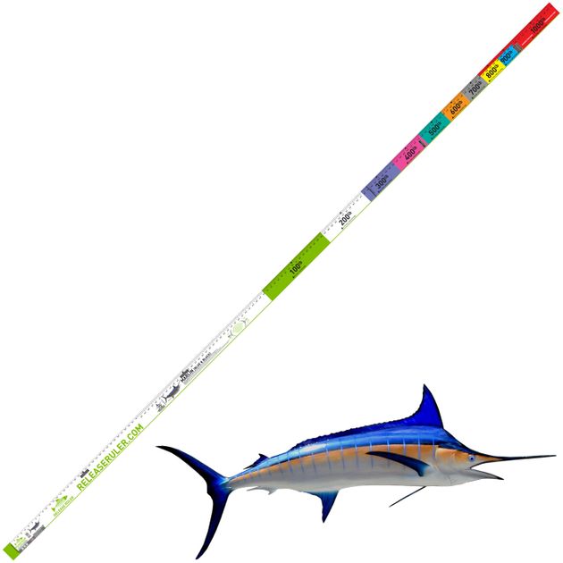 Release Ruler Blue & Black Marlin Fish Ruler