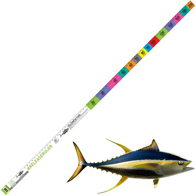 Release Ruler Yellowfin Tuna Fish Ruler