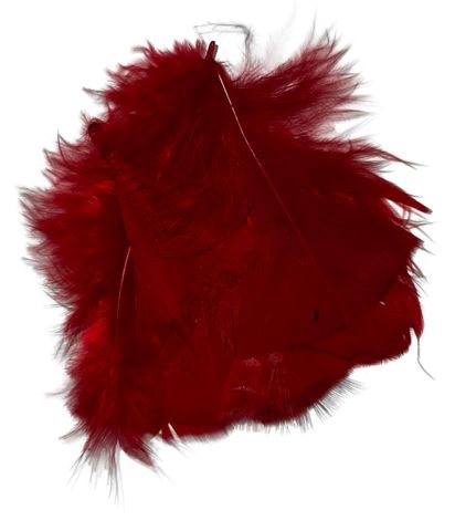 Red Feathers
