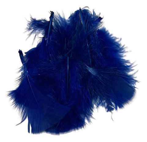 Blue Feathers