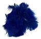 Feathers