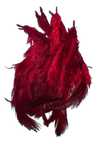 Dark Red Feathers